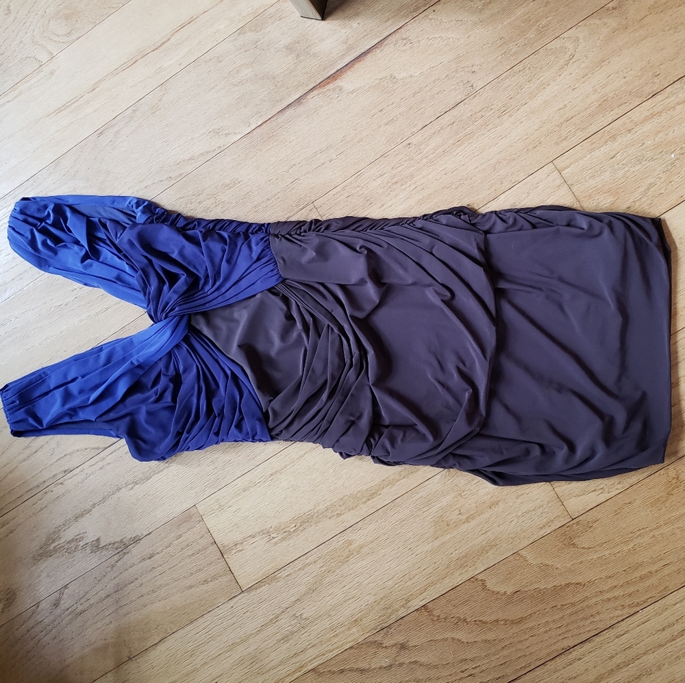 Purple and brown slinky dress